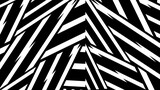 Striped background. Raster geometric ornament. Black and white stripes. Monochrome ornamental background. Design for decor,print.background in 4k format  3840 х 2160.