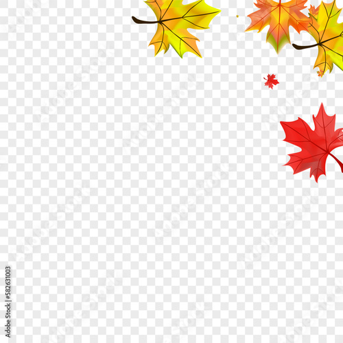Brown Foliage Background Transparent Vector. Floral Flying Frame. Ocher November Plant. October Leaf Template.