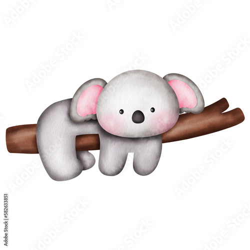 Photography Watercolor cute koala illustration clipart.
