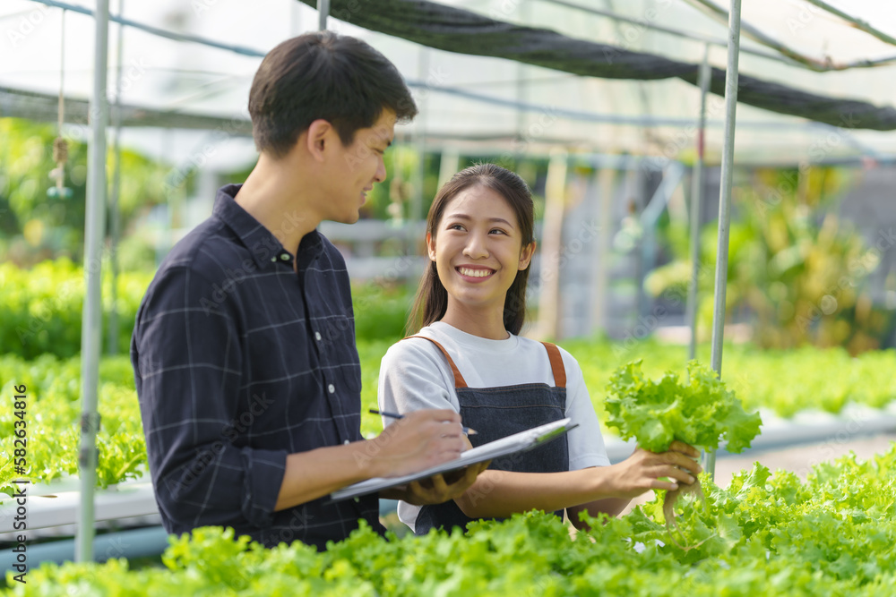 Young asian farmer in celery and green oak salad hydroponic farm, smart farmer, freelancer with smes concept.