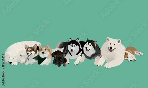 A group of various dog breeds is sitting, smiling and sleeping on a plain background. © Sachol