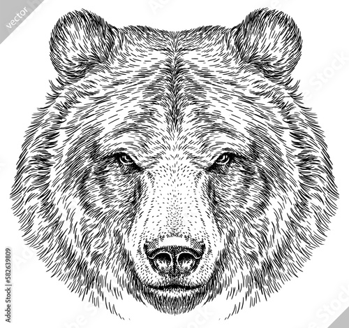 Vintage engrave isolated black bear set illustration ink sketch. American grizzly background asian animal silhouette vector art