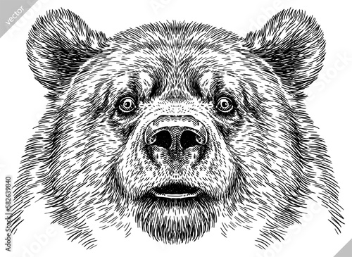 Vintage engrave isolated black bear set illustration ink sketch. American grizzly background asian animal silhouette vector art