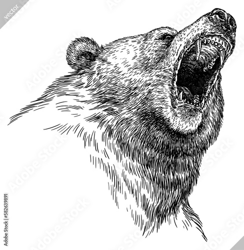 Vintage engrave isolated black bear set illustration ink sketch. American grizzly background asian animal silhouette vector art