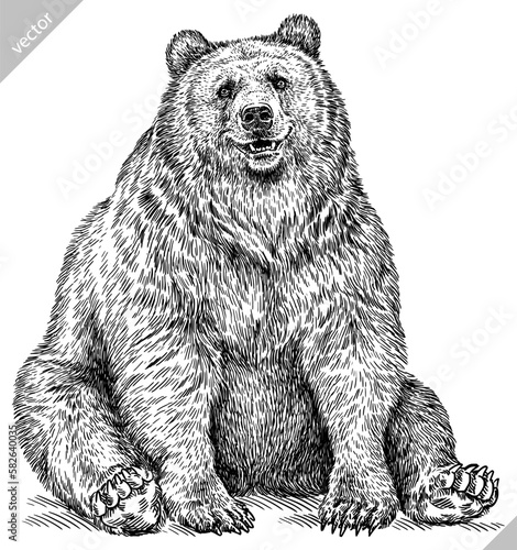 Vintage engrave isolated black bear set illustration ink sketch. American grizzly background asian animal silhouette vector art