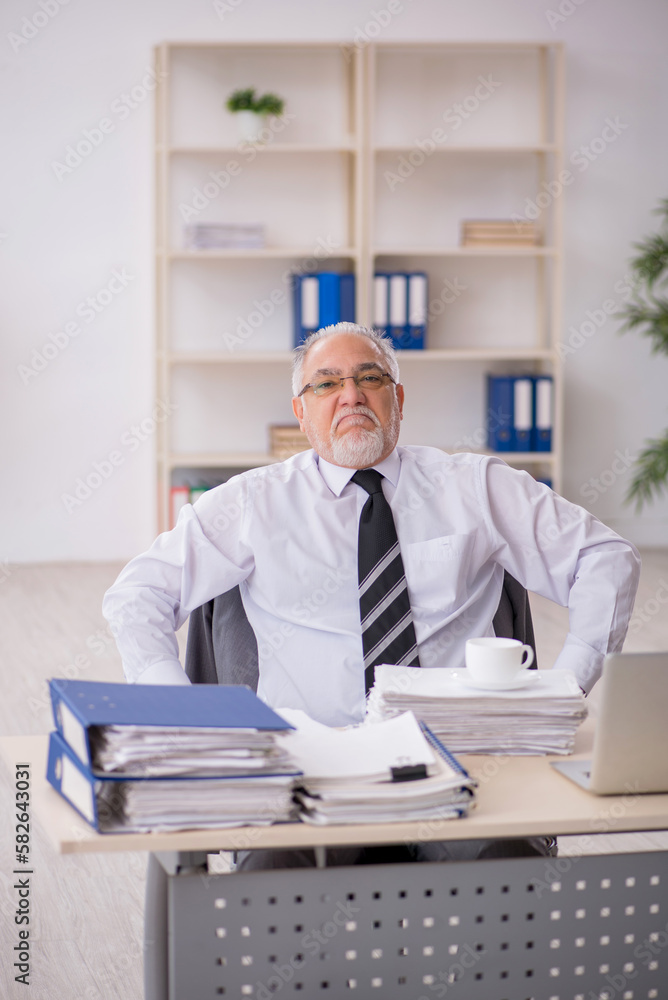 Old male employee working in the office Old male employee working in the office