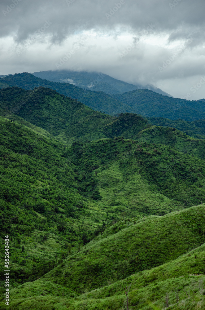 Naklejka premium green mountain view in cloudy day