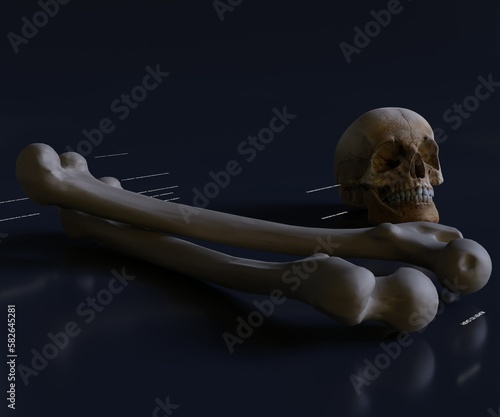 Toxic sign. The symbol is of a skull and crossbones. isolated 3d rendering