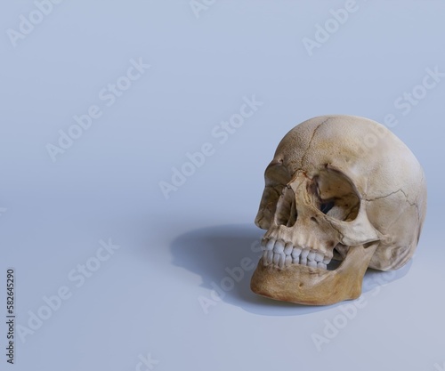 Isolated human old skull in the white background 3d rendering 