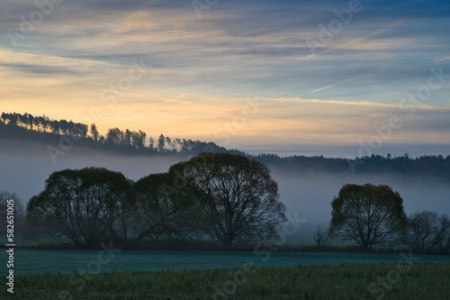 Stimmung am Waldrand