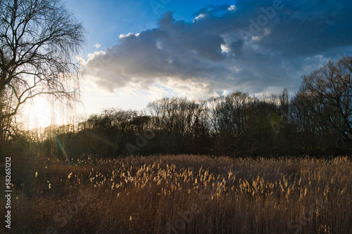 Abendstimmung