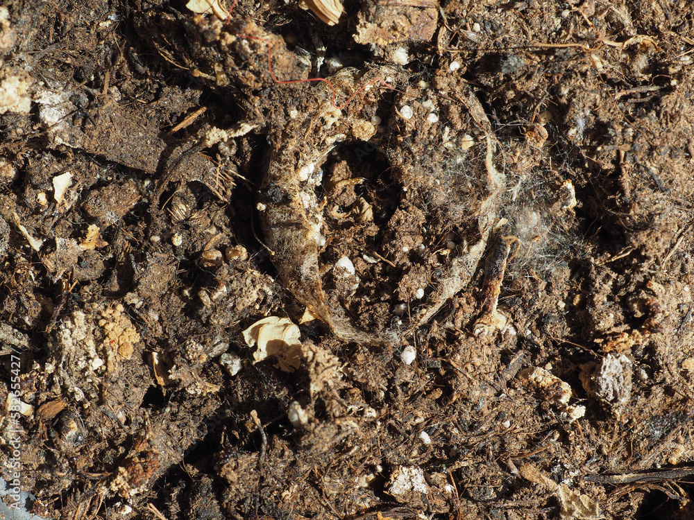 brown earth texture background brown earth texture background