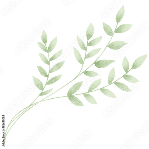 Simple branch isolated transparent background