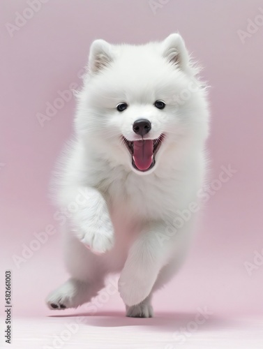 portrait photo of a puppy  isolated on a pastel color background