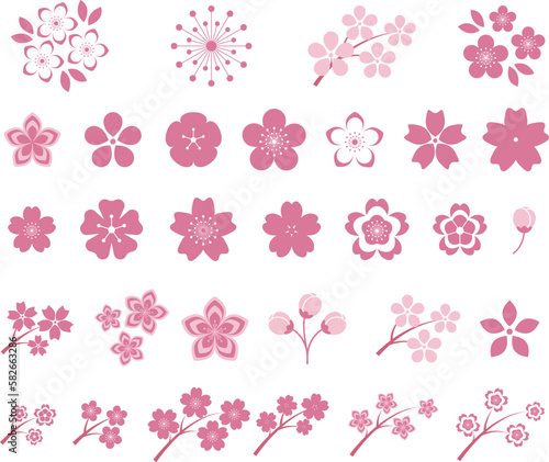 Pink Japanese cherry blossoms vector icon.