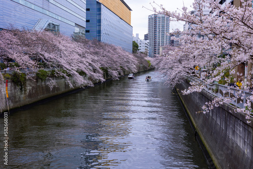 canal
