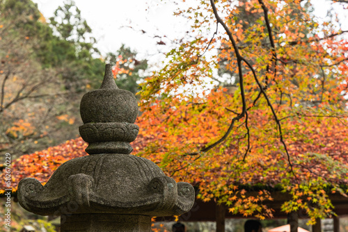 日本　京都府京都市の二ノ瀬にある白龍園の紅葉 photo