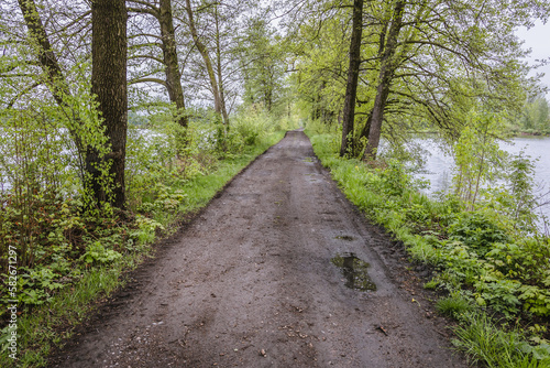 Dirt road among fishing ponds in Ligota, small village in Silesia region of Poland
