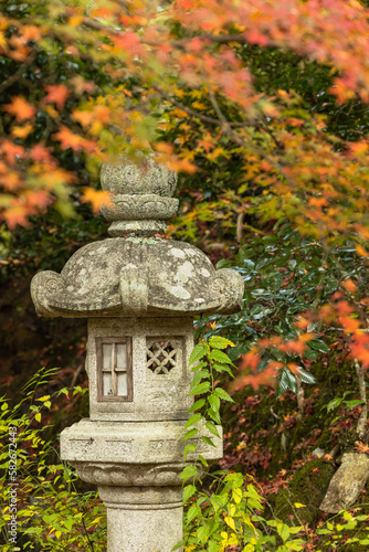 日本 京都府京都市の二ノ瀬にある白龍園の紅葉