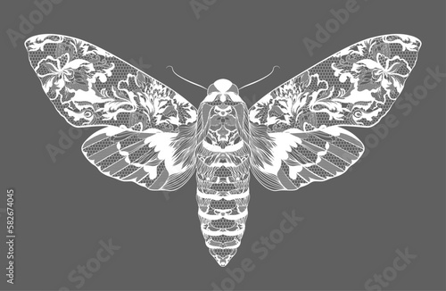 Moth. Lace floral pattern on the wings. Vector illustration