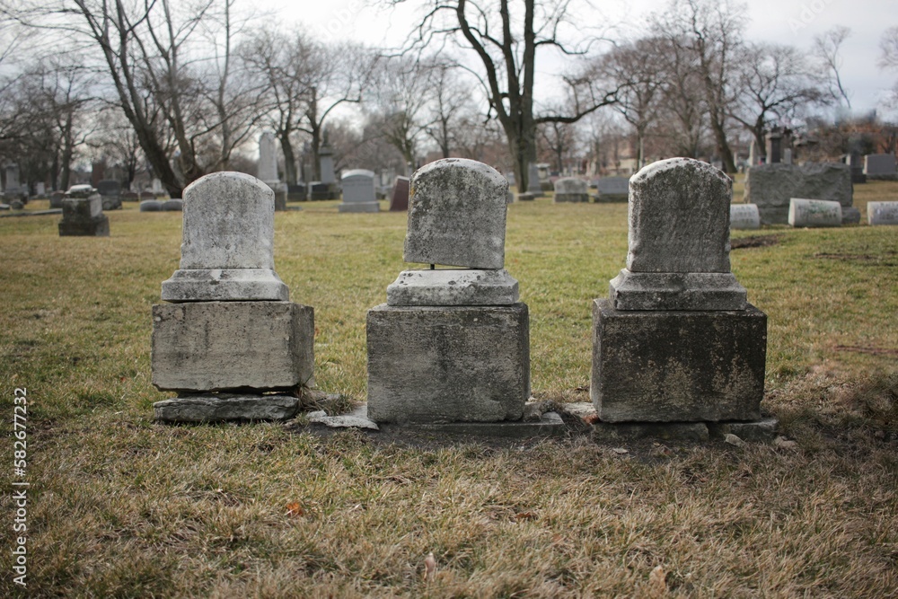 Fototapeta premium gravestones in cemetery