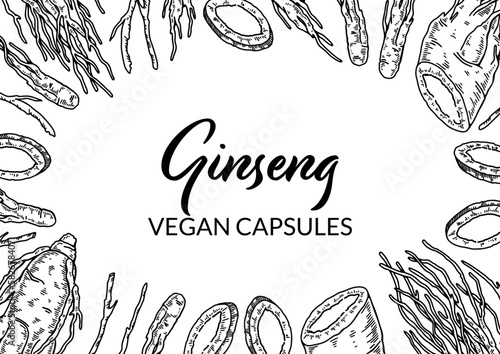 Ginseng horizontal design. Hand drawn botanical vector illustration in sketch style. Can be used for packaging, label, badge. Herbal medicine background