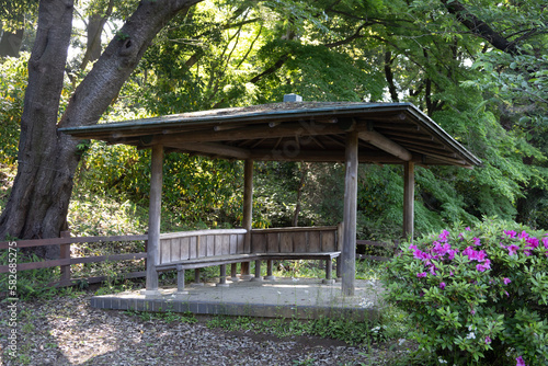 gazebo in the garden