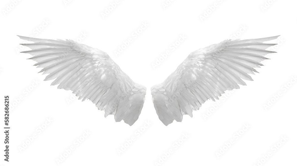 Angel wings isolated on white background Stock Photo | Adobe Stock