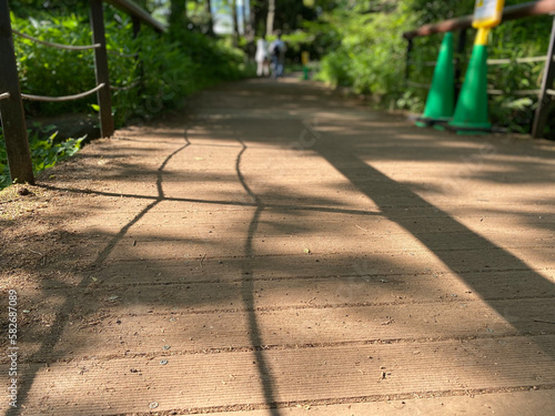 walk in the park