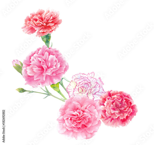 カーネーションの花束の水彩イラスト。アレンジメント。母の日の装飾。
