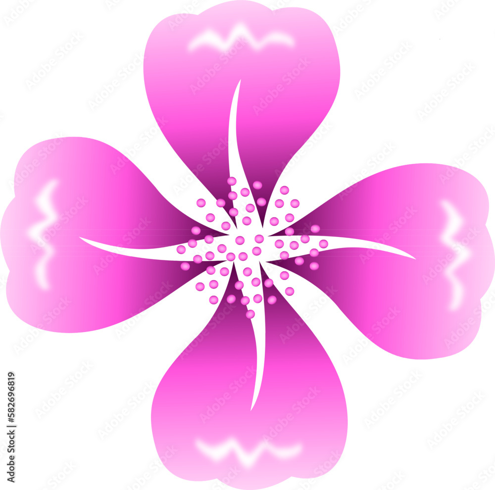 a pink spring flower