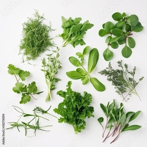 Collection of fresh herb leaves. arugula Spices, herbs on a white table. generative ai