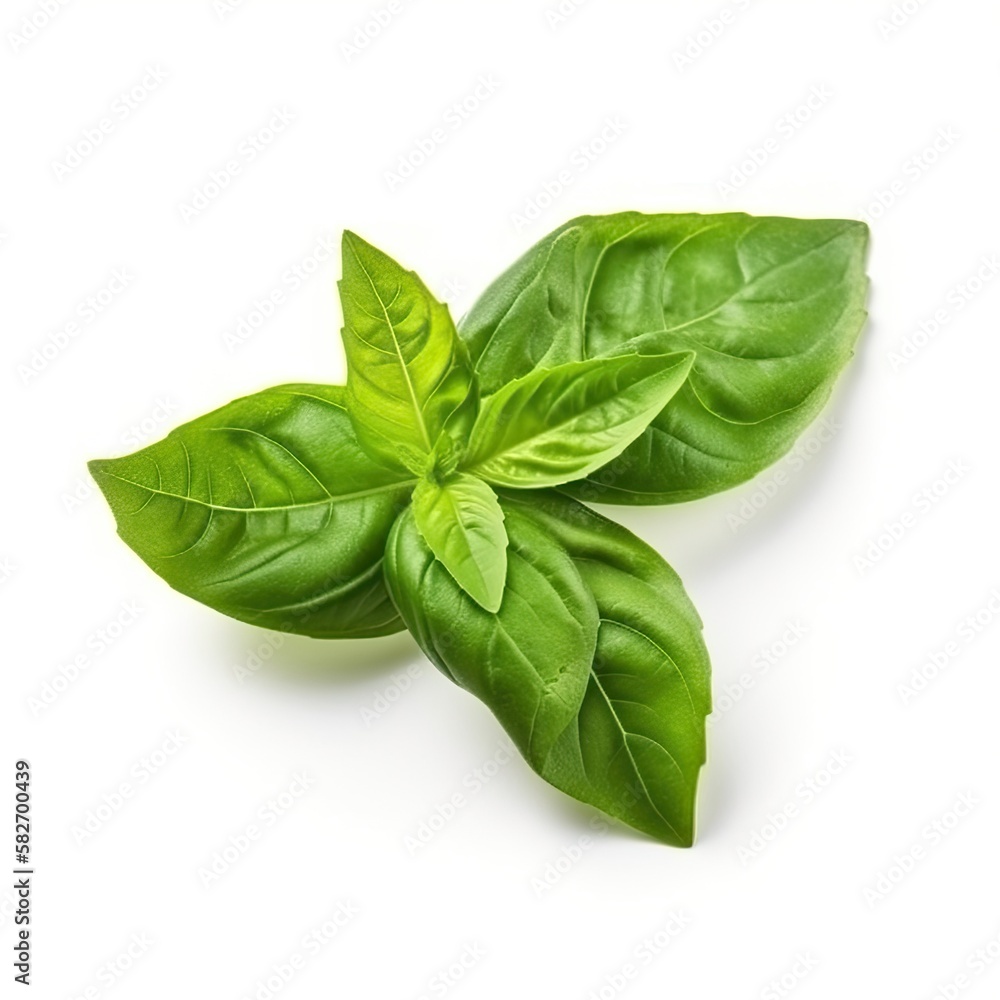 Fototapeta premium seasoning herb fresh leaves basil isolated on white background generative ai