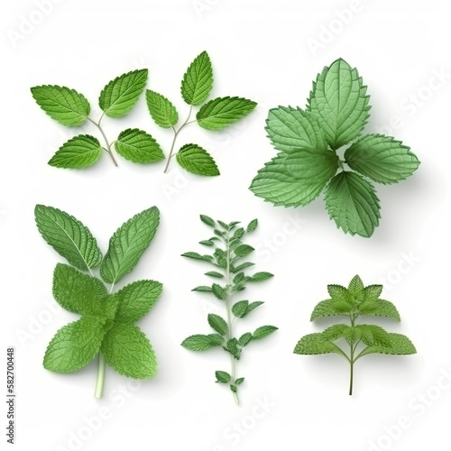 Mint leaf mockup. Fresh flying green mint leaves, lemon balm, melissa, peppermint isolated on white background. generative ai