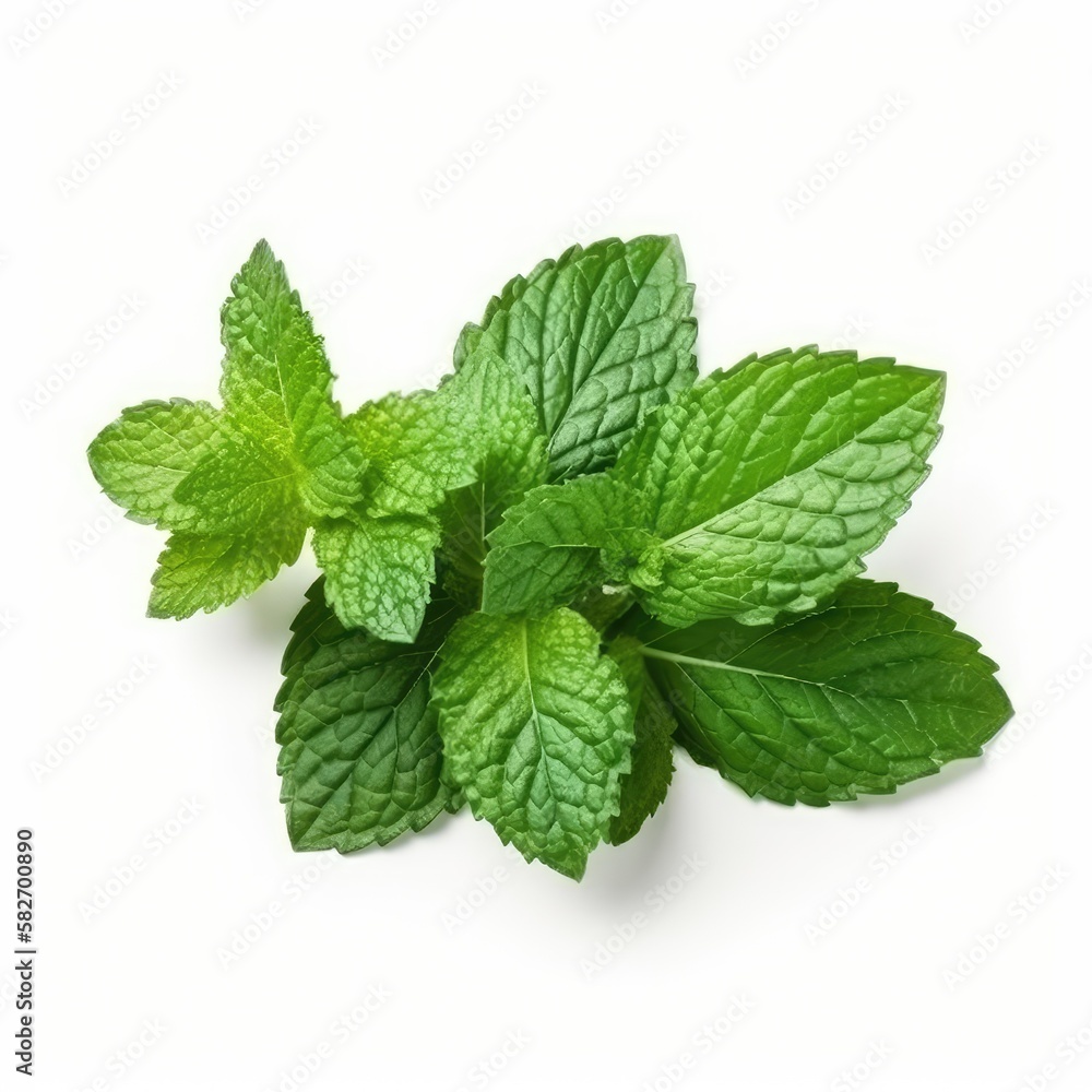 Mint leaf mockup. Fresh flying green mint leaves, lemon balm, melissa, peppermint isolated on white background. generative ai Mint leaf mockup. Fresh flying green mint leaves, lemon balm, melissa, peppermint isolated on white background. generative ai