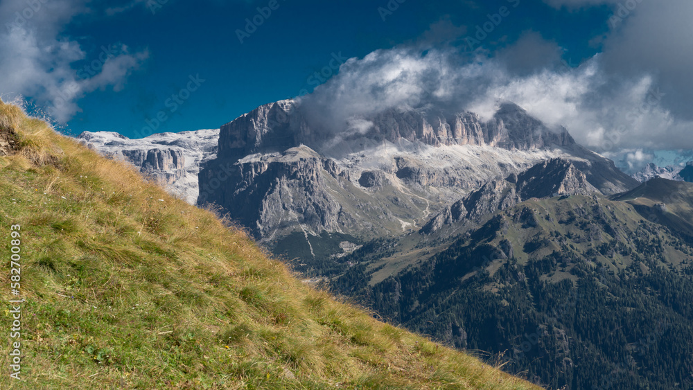 Almwiesen vor der Sellagruppe in den Dolomiten (Italien)