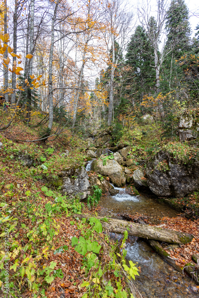 Naklejka premium Autumn, nature walks, mountain panorama, stream sources and hiking trails, warm autumn weather.