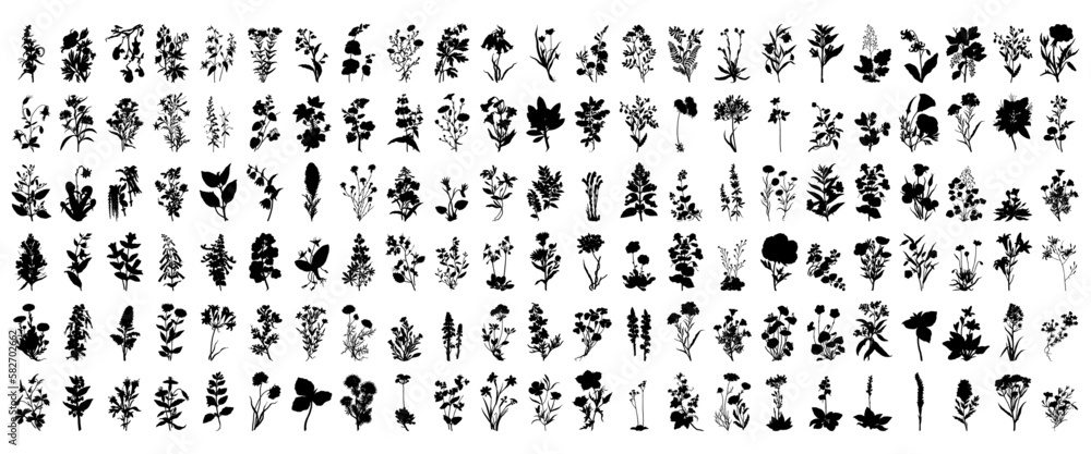 wildflower silhouette set	
 - obrazy, fototapety, plakaty 