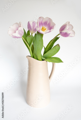 Tulpen