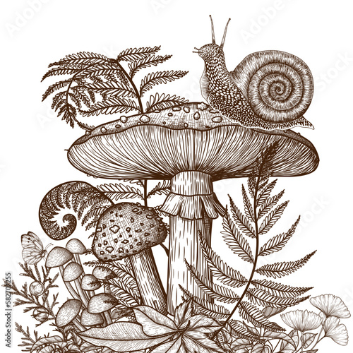 Vector illustration of fly agaric and snail surrounded by plants in engraving style