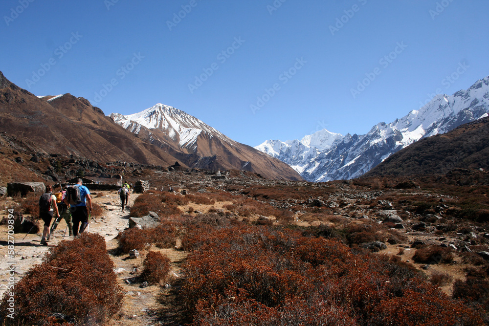 Valle de Langtang, Nepal, sendero entre las montañas peladas, con escasa y seca vegetación y los picos nevados, con personas caminando 