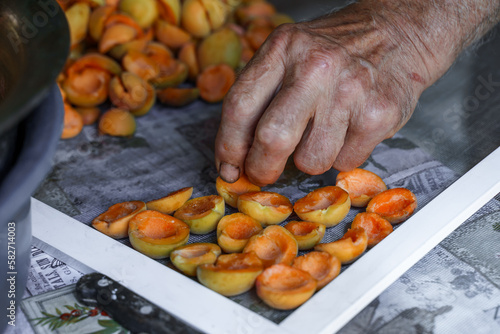 The hands of an elderly man are cut into halves of fresh apricot, preparations for the winter for jam