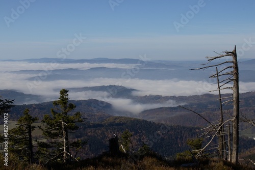 Trip from Skritek to Praded, Cervenohorske sedlo, Cervena hora, Moravian Mountain, Czech republic, Czech Jeseniky photo