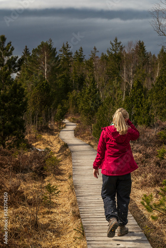 Eine Frau in roter auffälliger roter Jacke wander auf dem Bohlensteg und genießt das Murnauer Moos. Eine schöner Wanderweg in der Nähe des Staffelsees um sich zu erholen.  photo