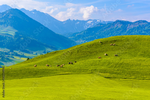 Green fields with blue sky, Schoenengrund, Hinterland, Appenzell Ausserrhoden Switzerland © Eagle2308