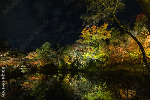 日本 京都府京都市にある高台寺の池に反射するライトアップされた紅葉