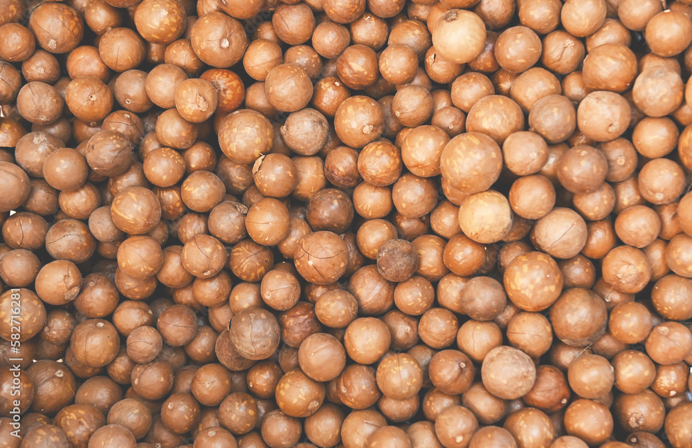 macadamia nuts texture background, fresh natural shelled raw macadamia nuts in a full frame, close up pile of roasted macadamia nut macadamia nuts texture background, fresh natural shelled raw macadamia nuts in a full frame, close up pile of roasted macadamia nut
