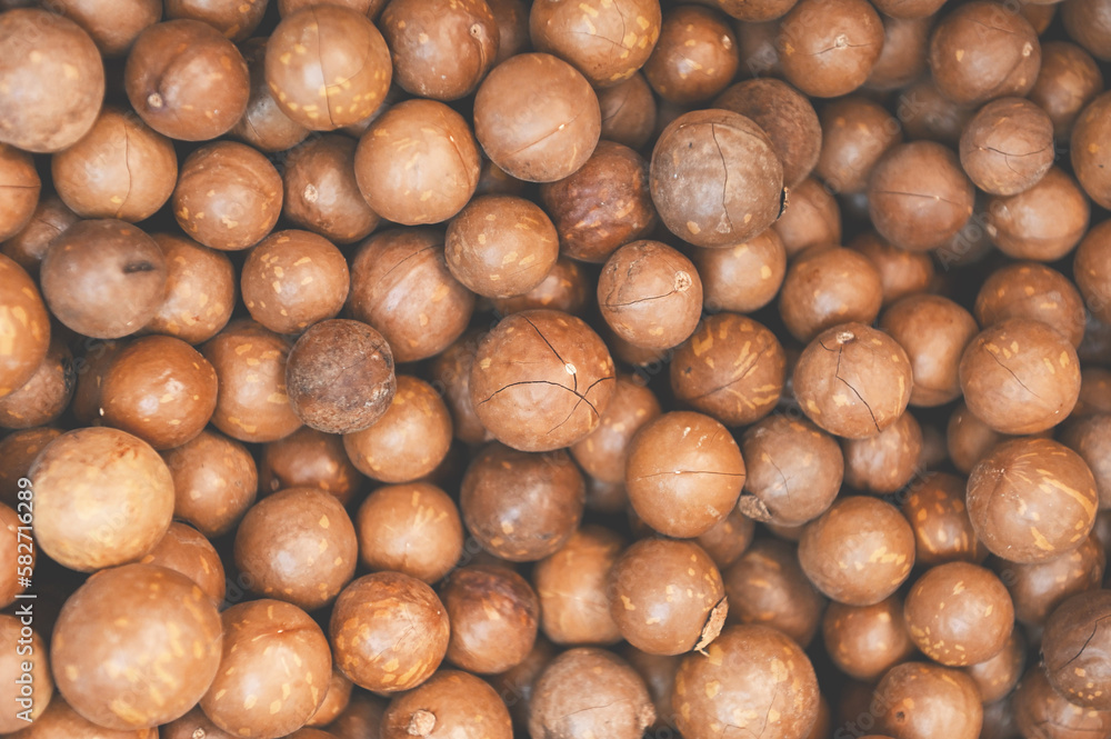 macadamia nuts texture background, fresh natural shelled raw macadamia nuts in a full frame, close up pile of roasted macadamia nut macadamia nuts texture background, fresh natural shelled raw macadamia nuts in a full frame, close up pile of roasted macadamia nut
