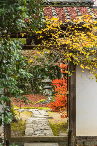 日本 京都府京都市にある金福寺の庭園に続く門と紅葉