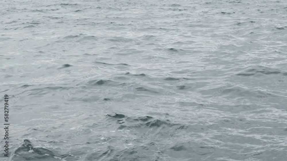 sea waves in dramatic weather sea waves in dramatic weather
